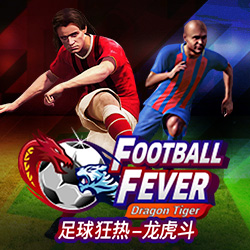 Football Fever English 166572674373315