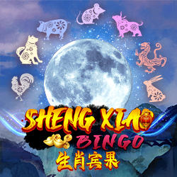 Sheng Xiao Bingo English 168028277427436
