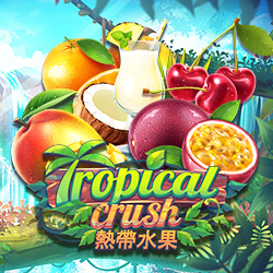 Tropical Crush English 166573895555853